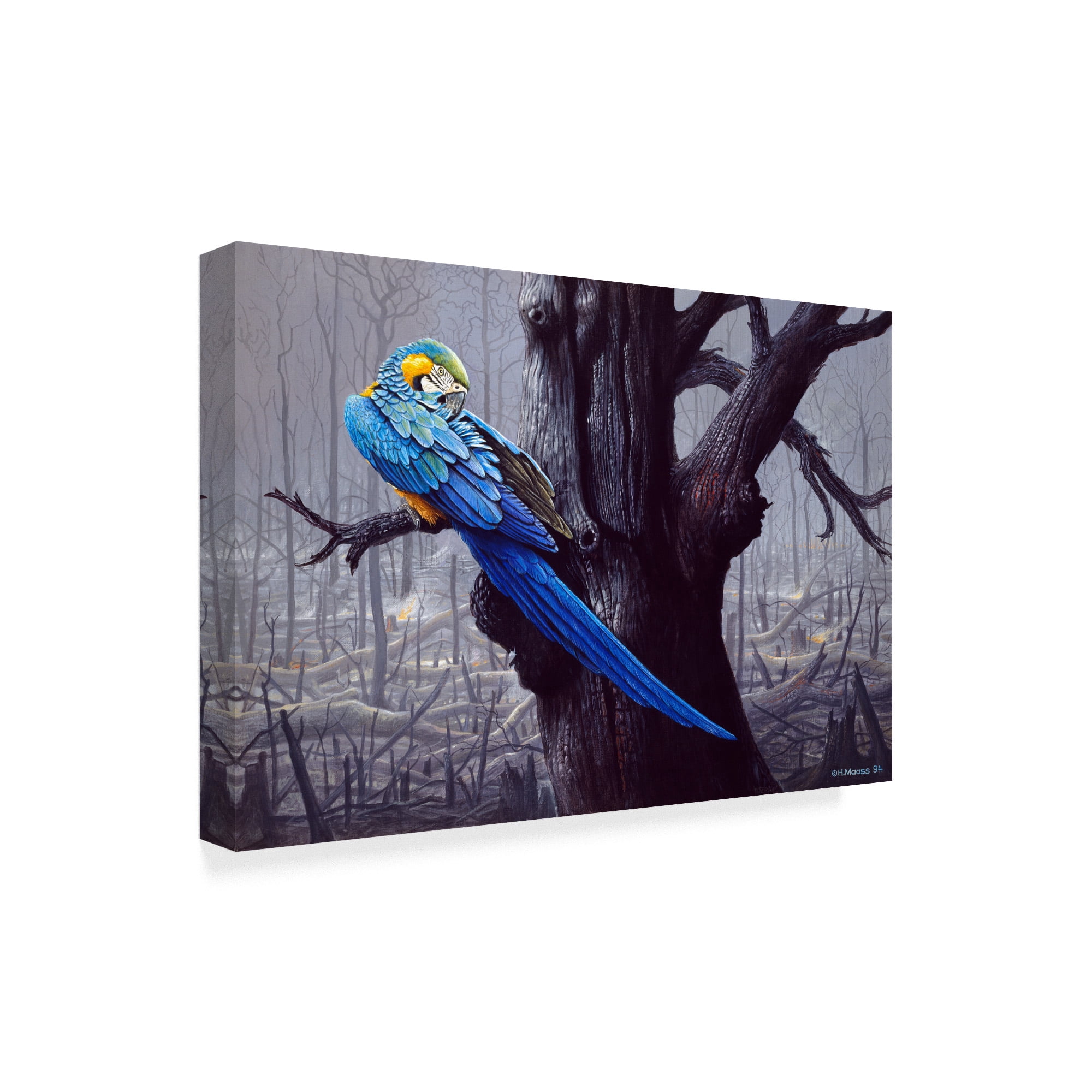 Trademark Fine Art 'Blue And Yellow Macaw In Burned Forest' Canvas Art by Harro Maass