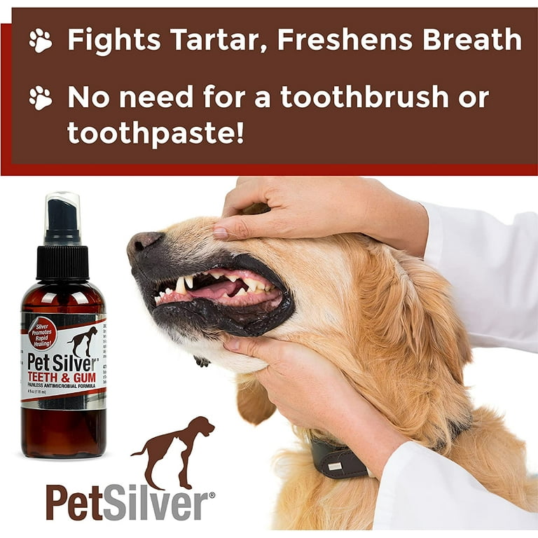How Can I Brush My Dogs Teeth Without Dog Toothpaste