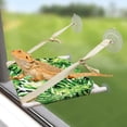 thumbnail image 4 of czcpp-Lizard Window Perch, Reptile Bed, Bearded Dragon Window Hammock, Reptile Tank Accessories, Suitable for Lizard Bearded Dragon Chameleon Kitten Guinea Pig Rat 12 × 11 Inches, 4 of 4