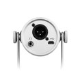thumbnail image 4 of MOTIV MV7 - Microphone - USB - silver, 4 of 5