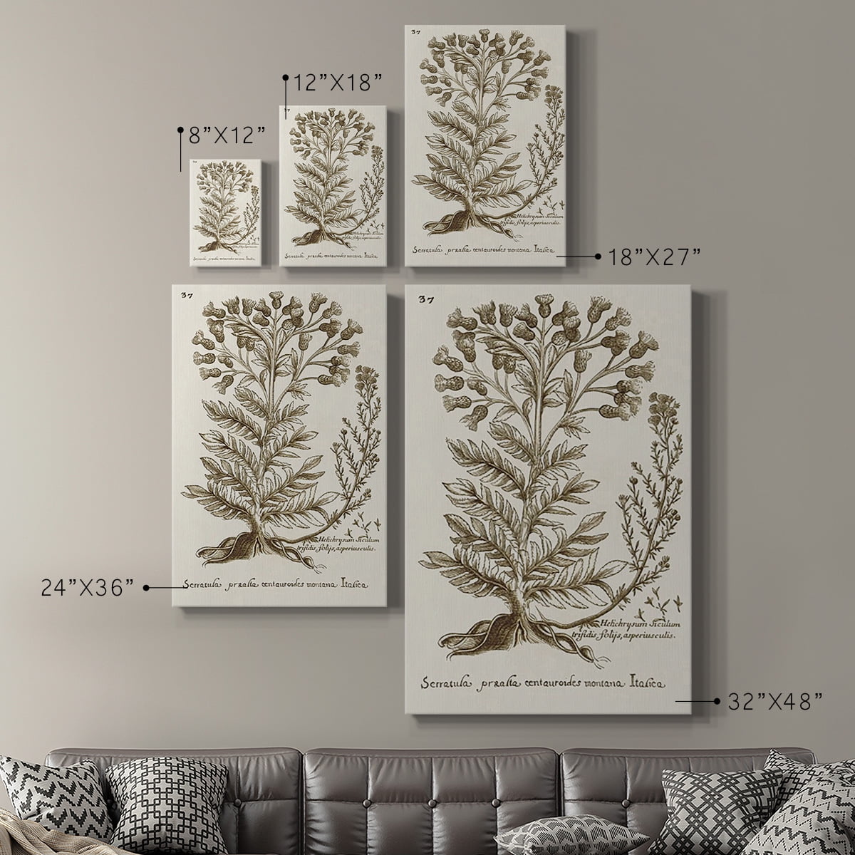 Sepia Botanical Journal I Premium Gallery Wrapped Canvas - Ready to Hang