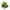 Green, variant on Mrzvby Toddlers Toys Gift Sensory Toys for Ages 2-4 Clearance!Toys for 5 Year Old Girls Transforming Dinosaur Tank Toy Collision Transforming Press Launchable Children's Toy