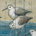 thumbnail image 3 of Masterpiece Art Gallery Sandpipers On Wood Coastal Birds By Paul Brent Canvas Art Print 22" x 28", 3 of 4