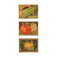 thumbnail image 2 of Unknown 12x24 Gold Ornate Wood Framed with Double Matting Museum Art Print Titled - Asparagus-Tomato-Pumpkin, 2 of 4