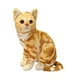 thumbnail image 3 of Muñeco de gato de juguete, juguete para gato, relleno de animal, decoración, cómodo, para el hogar Amarillo 27cm, 3 of 9