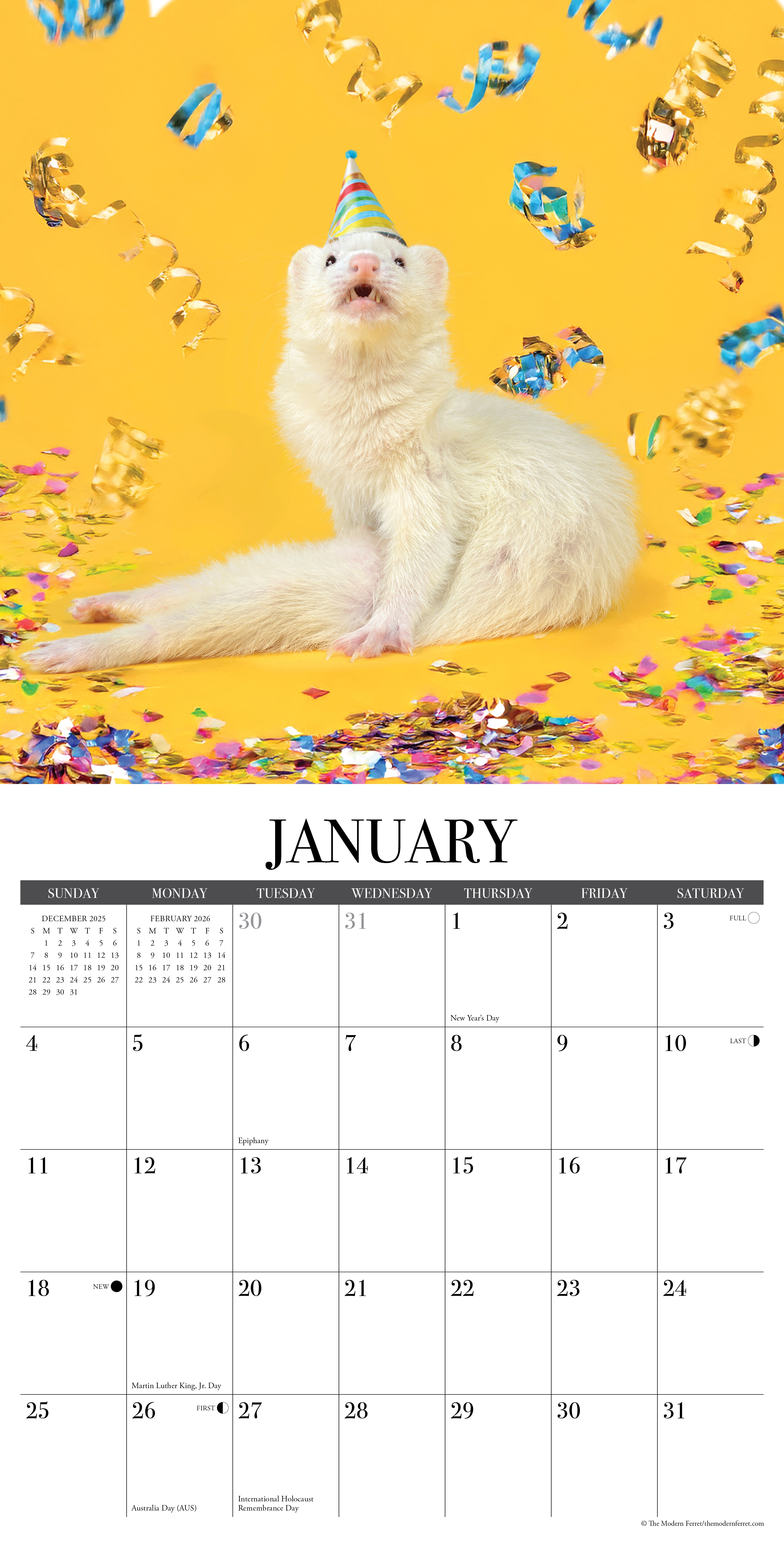 Modern Ferret (The) 2026 Wall Calendar, (Paperback)