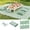 Sage Green, variant on Extra LargeOutdoor Boho PicnicBlanket with and 6 Throw Pillows Covers Wedding Party Decoration Photoshoot Home Garden Party Decor Patio Lawn OutdoorMat Beach Party theme Supplies Sage Green