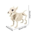 thumbnail image 3 of Clearance! Halloween Skeleton Horror Decorations Simulation Animals Skeleton Ornaments Bar Haunted House Decoration Dog Skeleton, 3 of 4