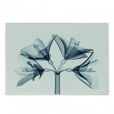 Xray Flowers Cutting Board, Blossoming Amaryllis Flower Radiogram Print, Decorative Tempered Glass Cutting and Serving Board, in 3 Sizes, by Ambesonne
