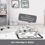 Tiny Love Magical Tales Black & White Gymini, White,
