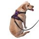 thumbnail image 2 of Fotbe Purple Dreamcatcher Arnés para Perro con Estampado –Chaleco Ajustable Acolchado con Asa de Control para Perros Grandes-Large, 2 of 6