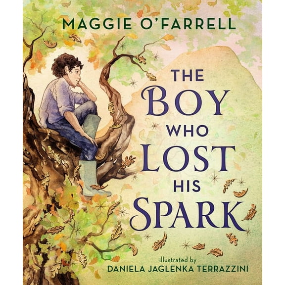 The Boy Who Lost His Spark, (Hardcover)