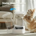 thumbnail image 5 of Nomipaw Cat&Dog Waterer - Automatic Gravity Feeding - 1 Gallon - Stainless Steel Bowl - White, 5 of 7