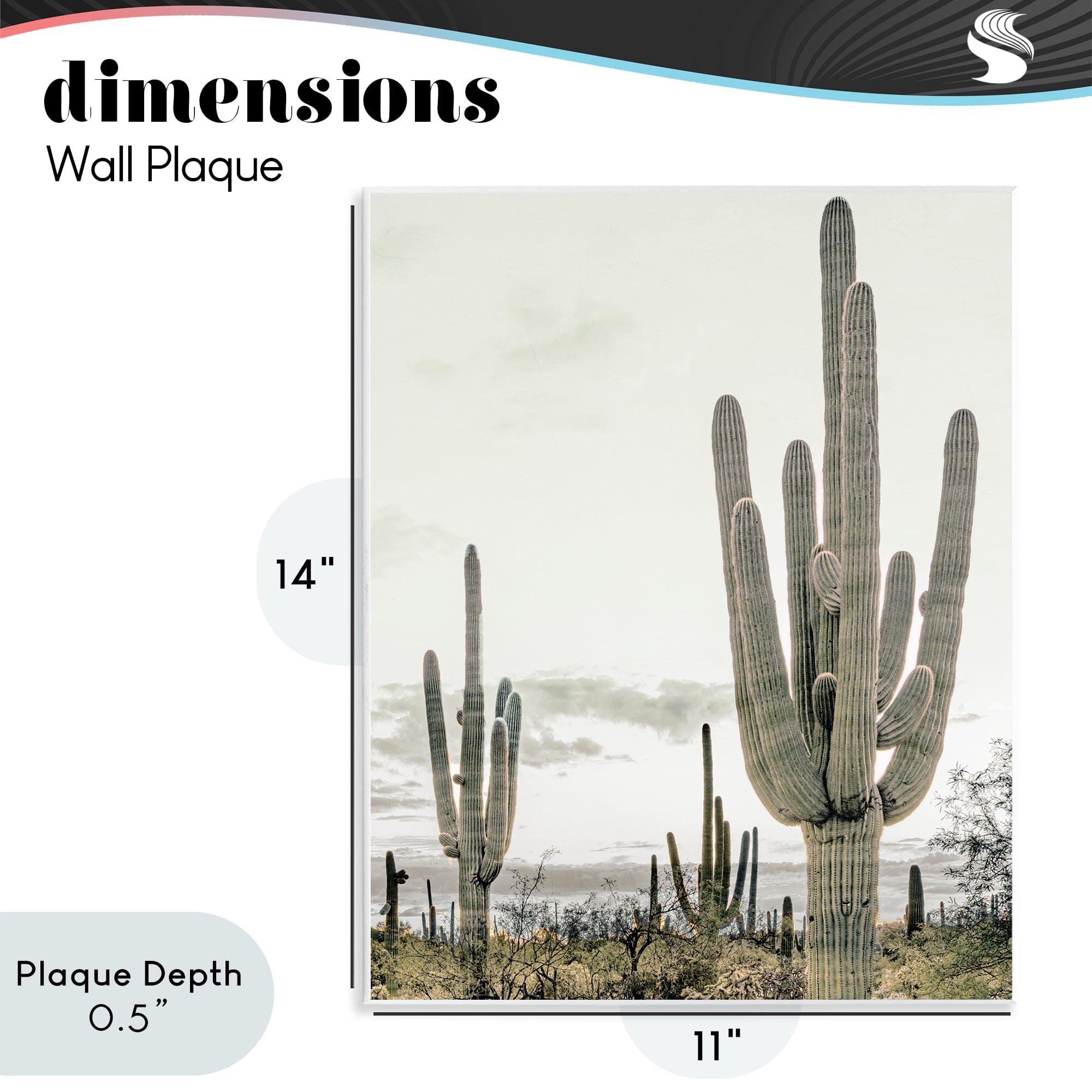 Stupell Industries Subdued Desert Cacti Wall Plaque Art, design by Kim Allen
