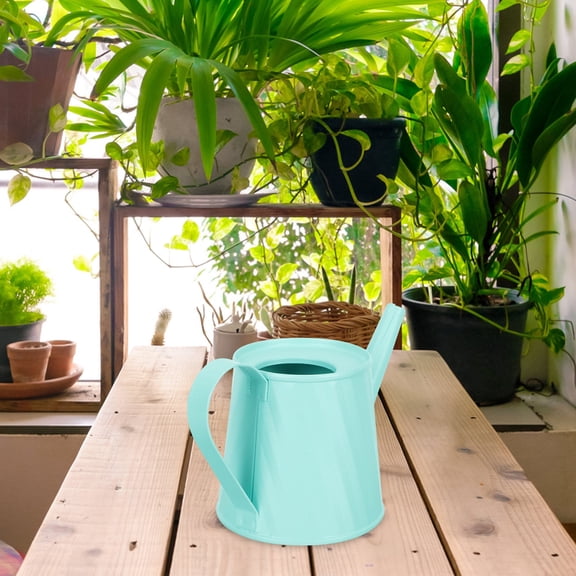 FUTUREORYY Adorable Watering Can Iron Watering Pot Green 1Pcs