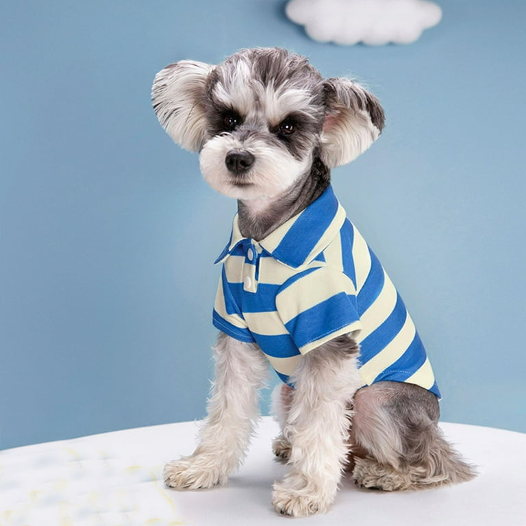 consumer satisfaction with nutro dog food Nutro Max Senior Chicken Dry Dog Food main image 1