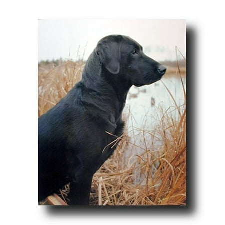 CADecor Couch Hunting Black Labrador Dog Animal Fleece Throw Blanket 58x80