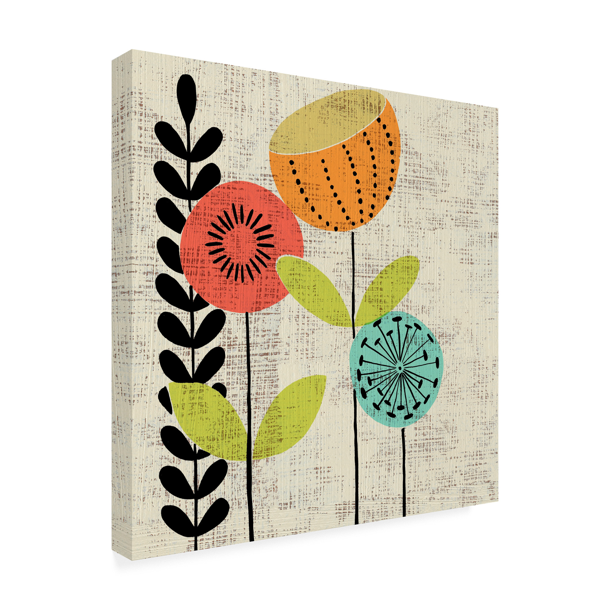Trademark Fine Art 'Adas Garden II' Canvas Art by Chariklia Zarris