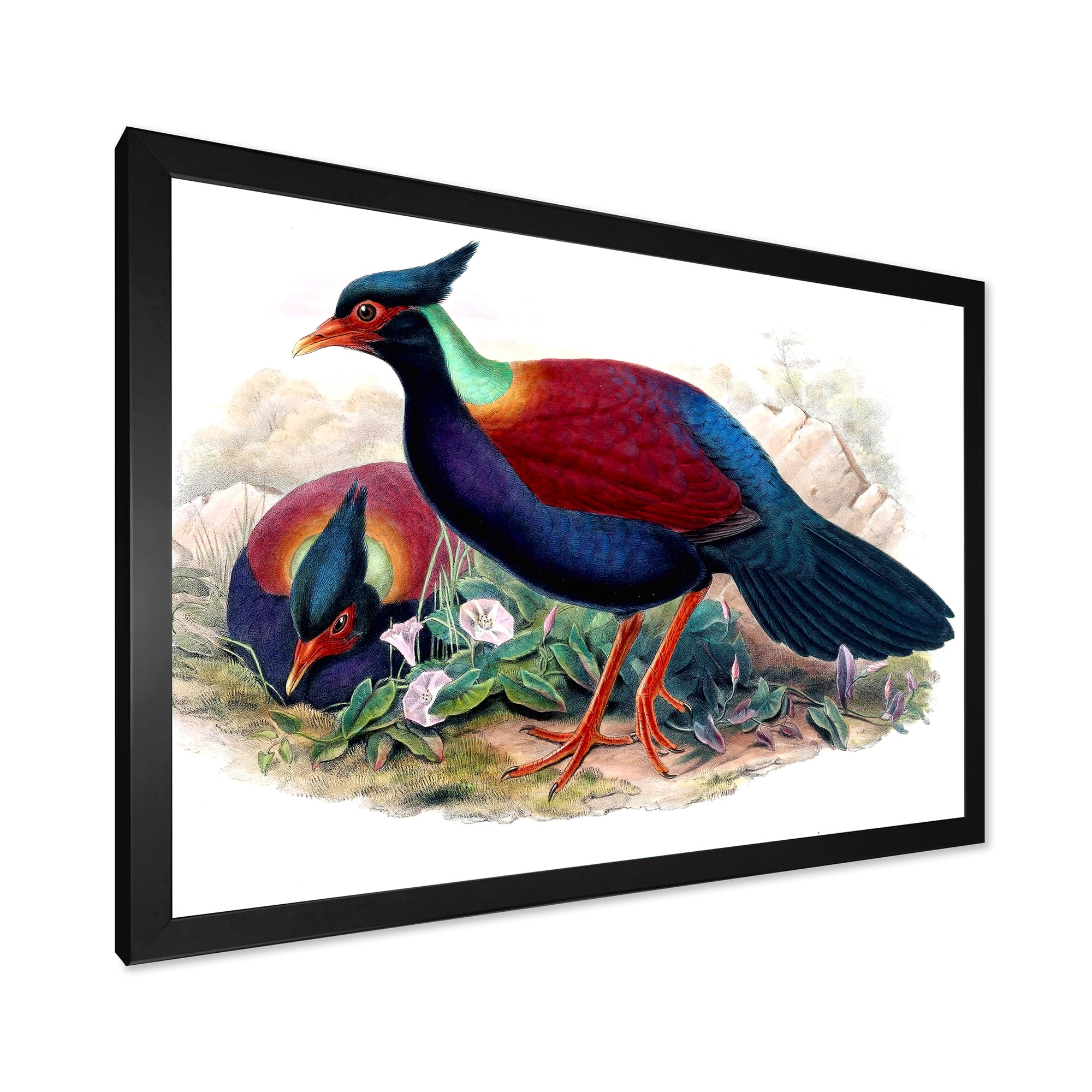 Designart 'Ancient Birds In The Wild II' Traditional Framed Art Print