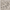 Grey/Camel, variant on Nourison Graphic Illusions Floral Grey/Camel 2'3" x 3'9" Area Rug, (2x4)