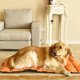 thumbnail image 3 of Alfombrilla grande para perros y gatos, cama plegable para perros, cojín lavable para perros, antiestático, 3 of 4