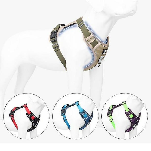 Outdoor dog lead clearance hook