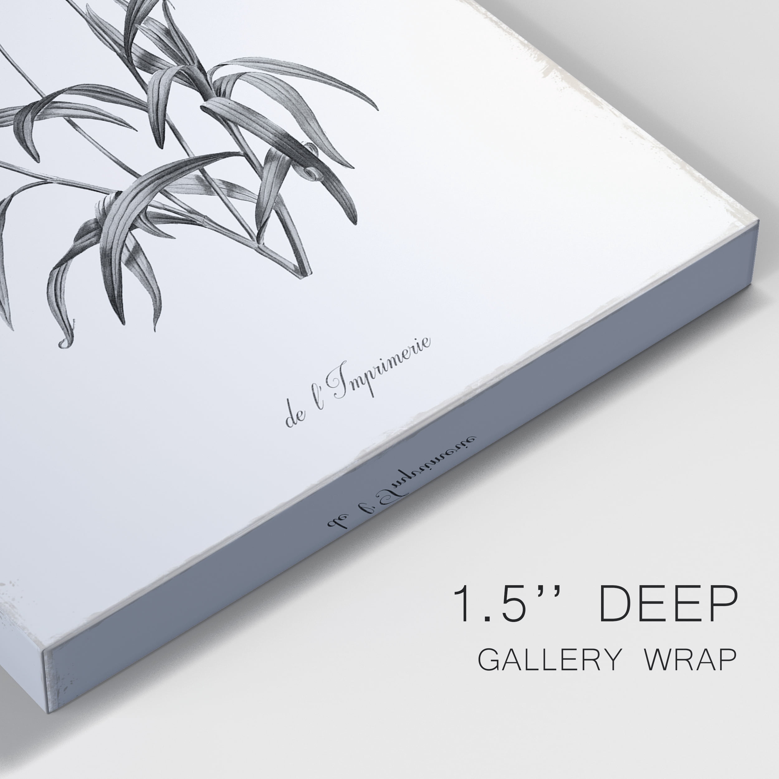Simply Imperial Premium Gallery Wrapped Canvas - Ready to Hang - 24 x 36