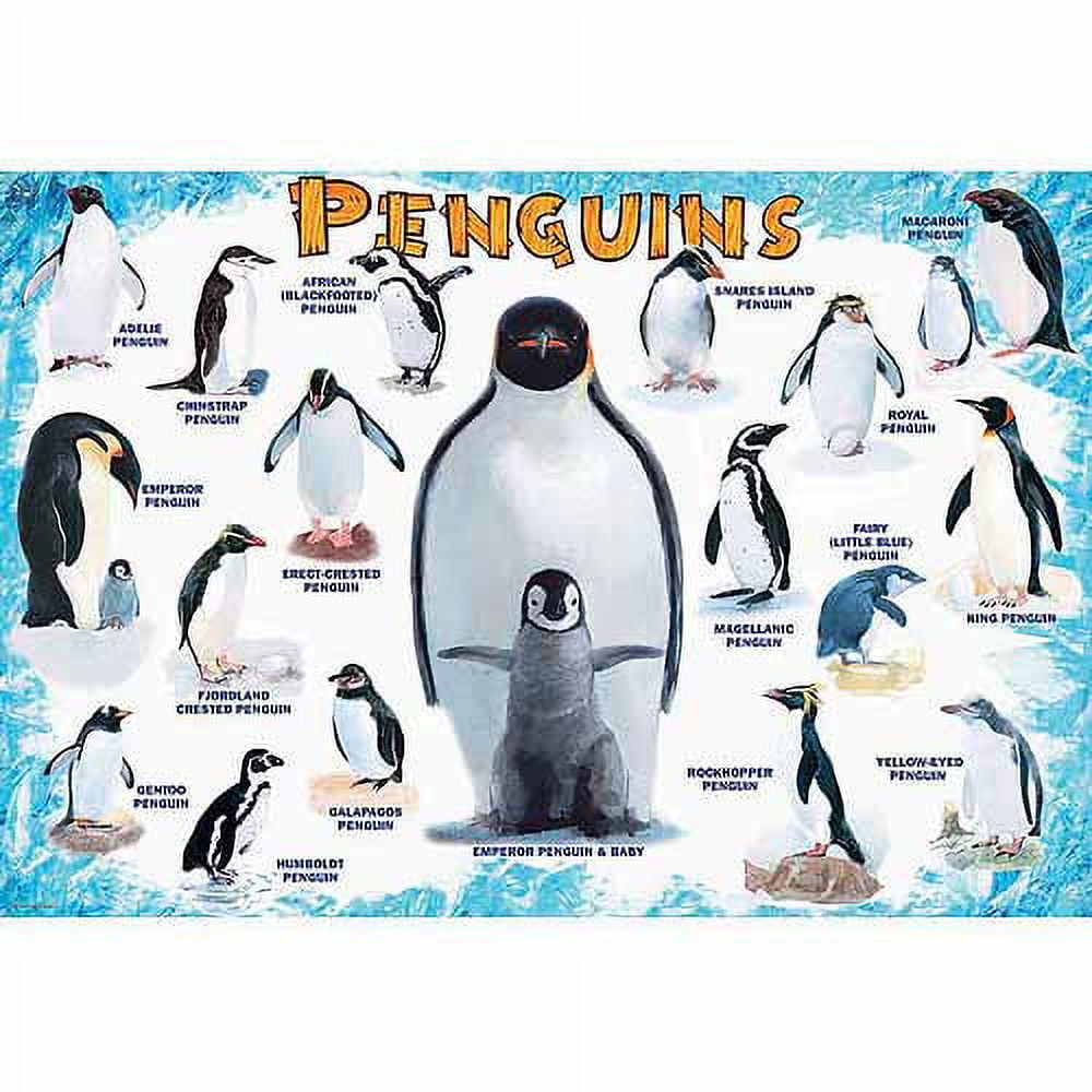 Penguins 100-Piece Puzzle - Walmart.com
