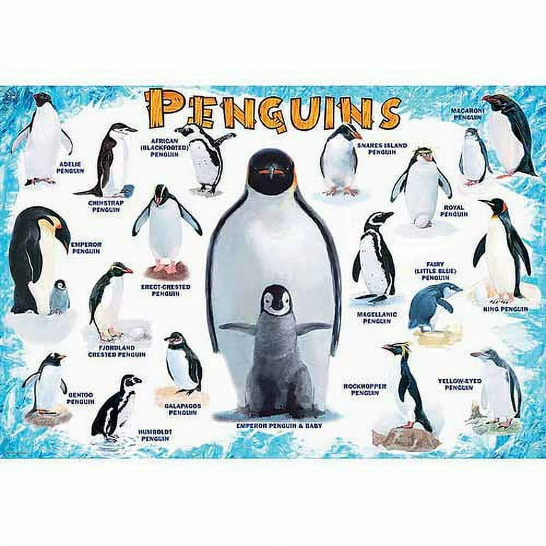 その他 [penguin] Penguins Bulk Bag | Safari Ltd®