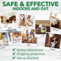 Vet's best top home spray reviews