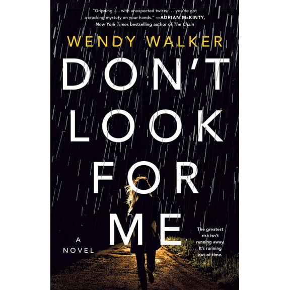Don't Look for Me : A Novel (Paperback)