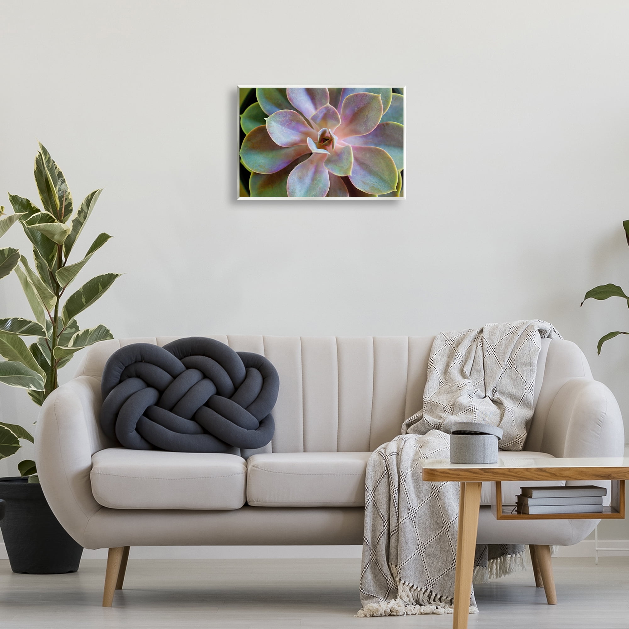 Stupell Industries Blooming Succulent Leaves Plants & Flowers Photography Unframed Art Print Wall Art, 19 x 13