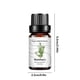 thumbnail image 3 of XWSHYW Aceite Esencial Aliviar La Fatiga Aceite Aromaterapia 10Ml, 3 of 6