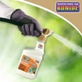 thumbnail image 4 of BONIDE PRODUCTS INC PT RTS COP Fungicide 813, 4 of 7