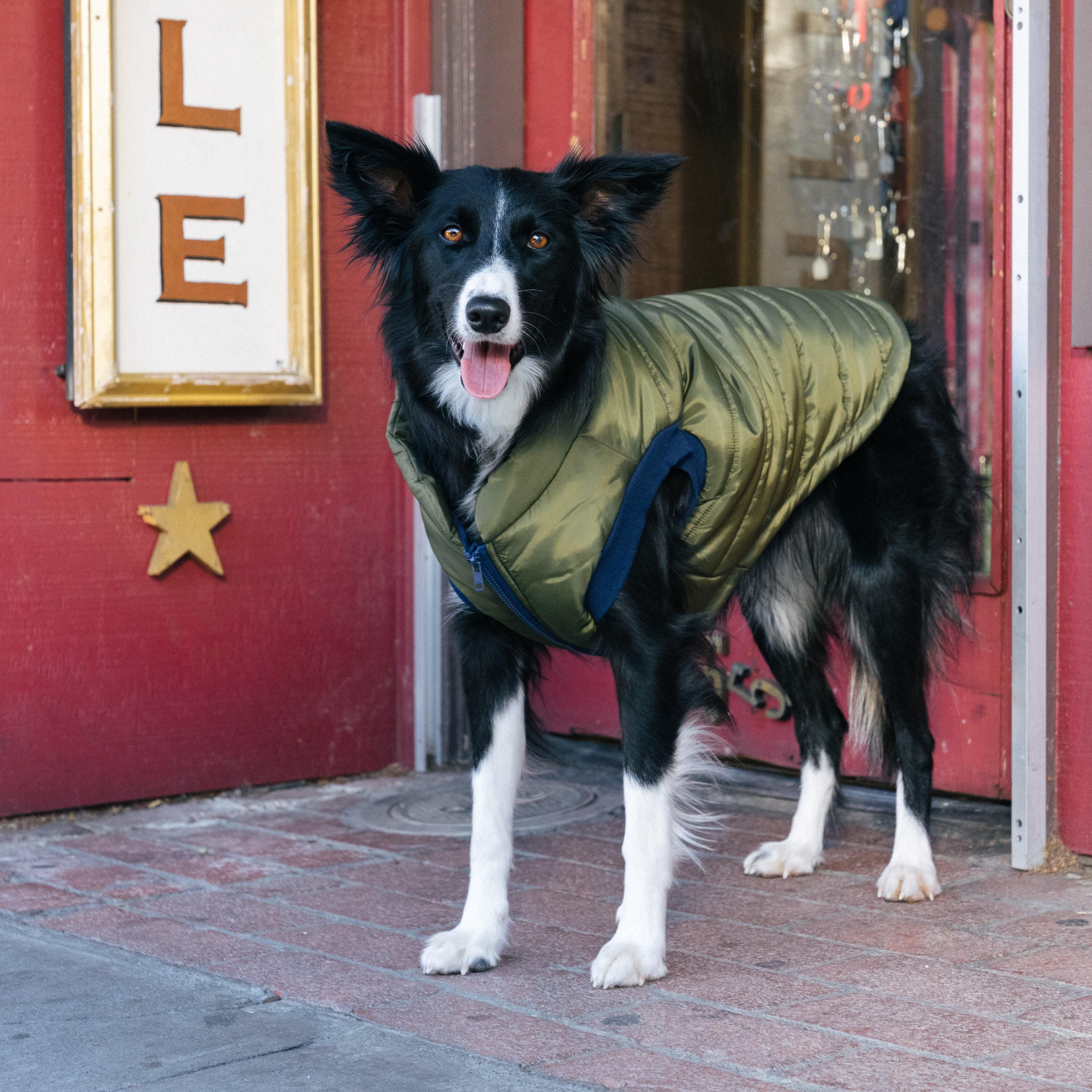 Gap Pet, Dog Clothes Green Bomber Pet Jacket