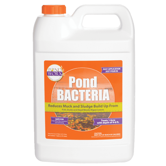 Pondworx Pond Bacteria - Formulated for Large Ponds, Water Features and Safe for Koi - 1 Gallon