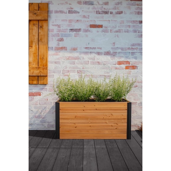 Vita Mezza 39'L x 16'W x 19'H Small Cedar Parklette Planter, Golden Brown, VT17715