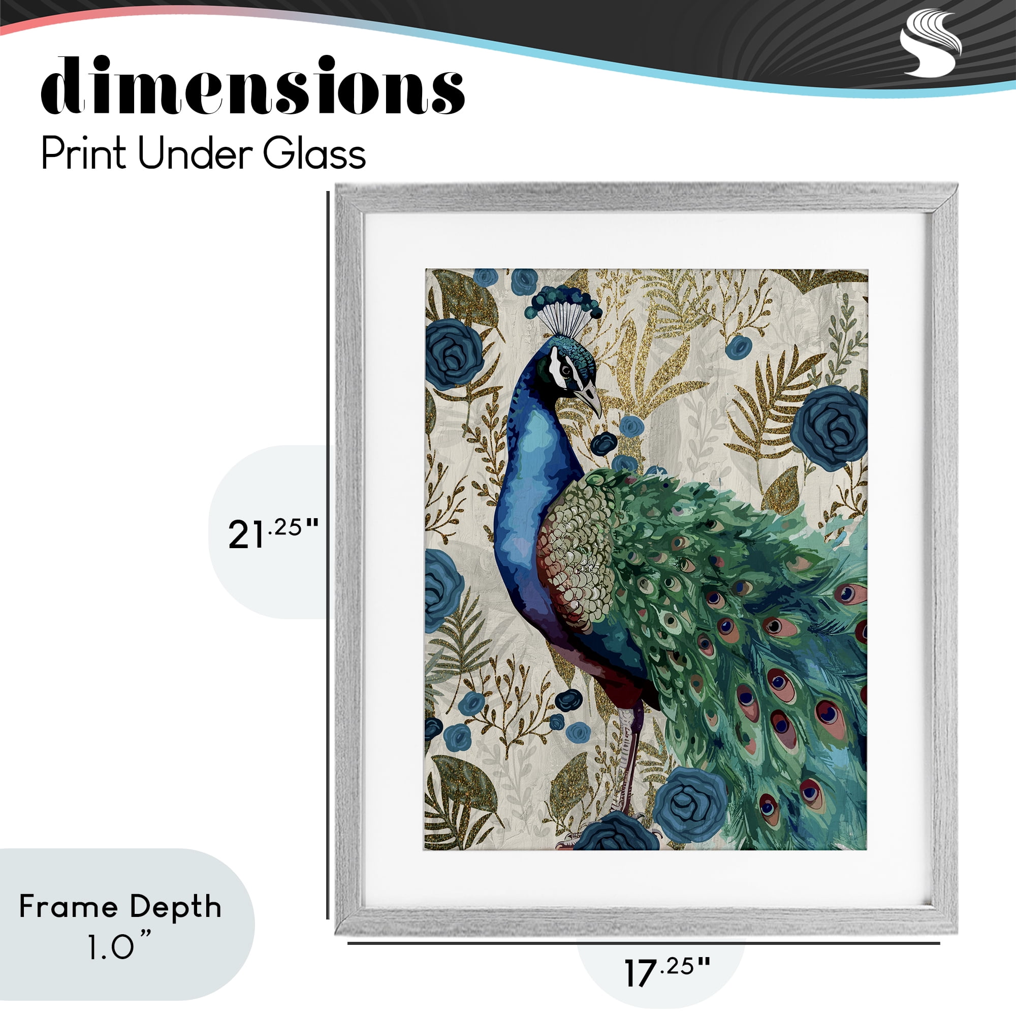 Stupell Industries Rococo Peacock Pride Gray Framed Print Under Glass, design by Kim Allen