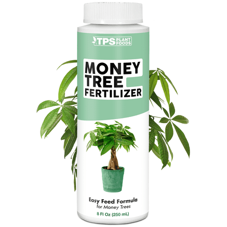 Money Tree Fertilizer for Money Trees and All Pachira Plants, Liquid Plant Food 8 oz (250mL)