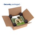thumbnail image 6 of 3dRose, Briard, 10x10 Wall Clock, 6 of 7