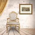 thumbnail image 3 of Stoner 24x18 Gold Ornate Wood Framed with Double Matting Museum Art Print Titled - Waukesha Wisconsin - Stoner 1880, 3 of 4