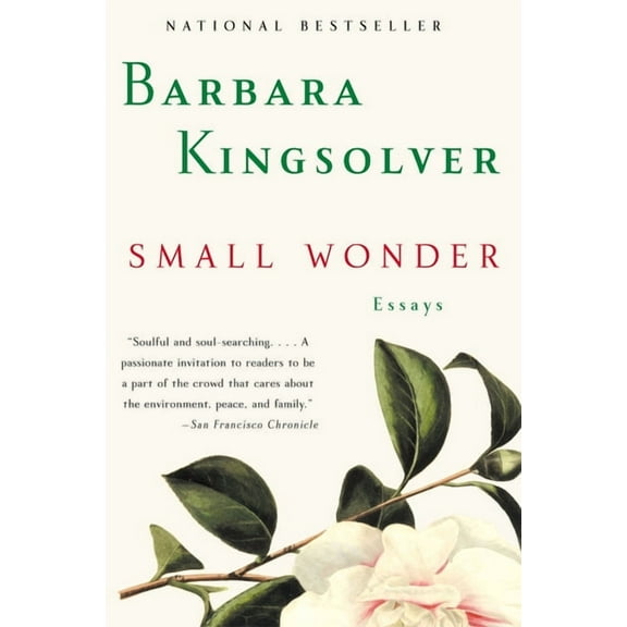 Small Wonder: Essays - Paperback