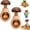 2PCS, variant on Wooden Mushroom Shaped Walnut Wood Clip, Wooden Mushroom Nutcracker Tool, Walnut Cracking Tool, Chestnut Peeler Manual Nut Cracking Tools for Walnuts, Hazelnuts, Pecans, Chestnut(1PC)