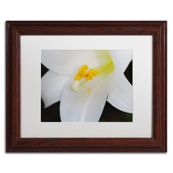 Trademark Fine Art "One Word" Canvas Art by Monica Mize, White Matte, Wood Frame