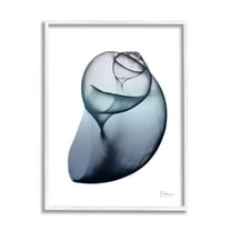 Stupell Industries Contemporary Snail Shell Abstract Photography White Framed Art Print Wall Art, 11 x 14