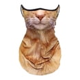 thumbnail image 2 of 5xPolainas Para El Cuello Con Diseño De Gato, Máscara Facial De Verano Con Presillas Para Las Orejas Para Esquiar, Uso Diario, Marrón, 2 of 8