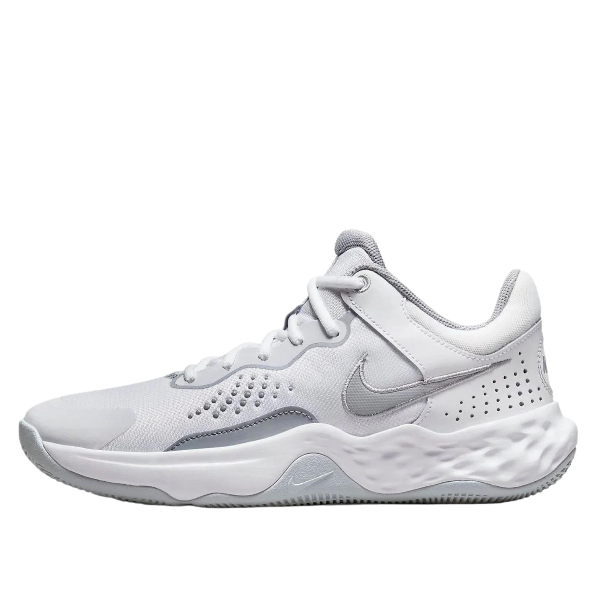 Nike LeBron Witness VIII TB Wolf Grey/White Men display picture 1