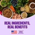 thumbnail image 3 of Wellness Complete Health Dry Dog Food, Grain Free, Natural, Chicken Recipe, (22-Pound Bag), 3 of 8