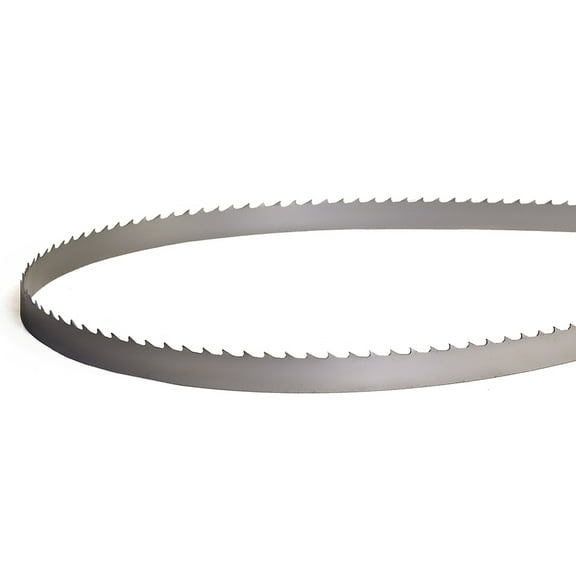 Olson 93-1/2″ Long Flex Back Band Saw Blade - .025in. thick  - 6 TPI Hook Tooth