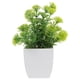 thumbnail image 1 of Pequeñas plantas artificiales en macetas para decoración de interiores. Bonsái artificial para escritorio o estantería. Decoración para baño o sala de estar. Plantas artificiales en macetas., 1 of 6